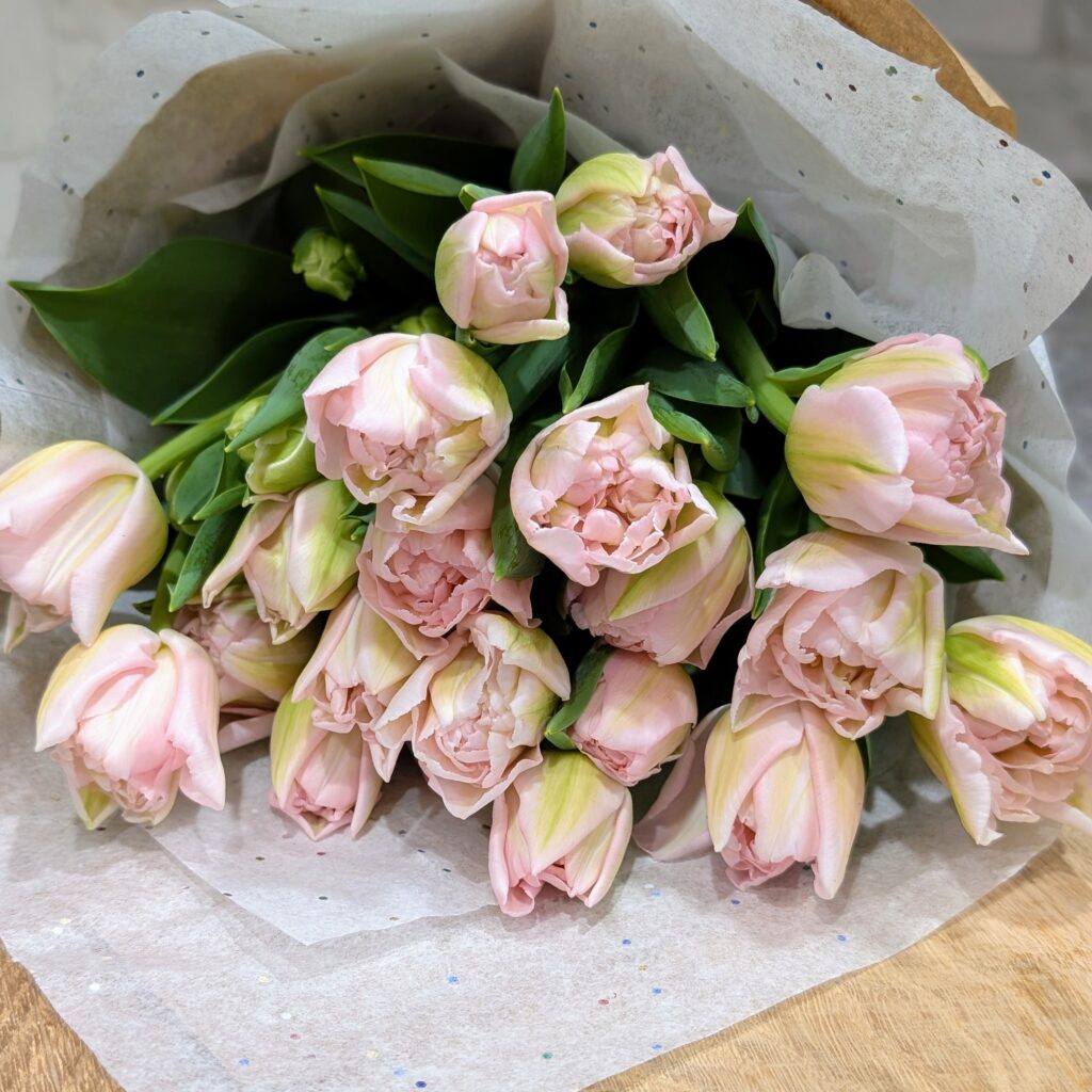 Hive and Petal Tulips